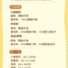 【現貨】上海迪士尼｜臉嘟嘟草莓熊毛絨玩具