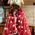 餅餅萬聖毯子 【現貨】上海迪士尼|2025萬聖節可琦安(餅餅)系列