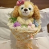 【現貨】上海迪士尼｜絨絨花園系列可琦安(餅餅)玩偶花束裝飾